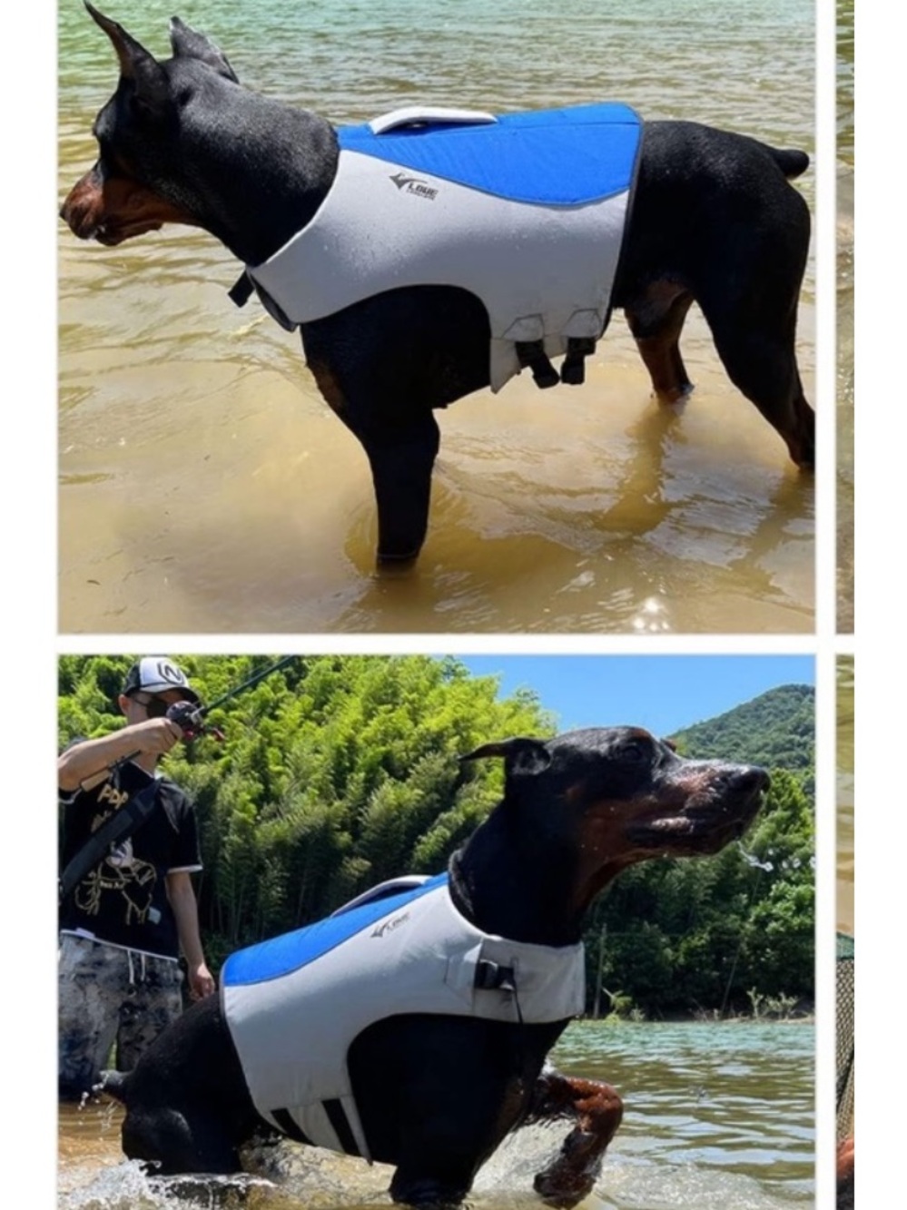 SALE!! M Water safety vest for medium dogs NWT